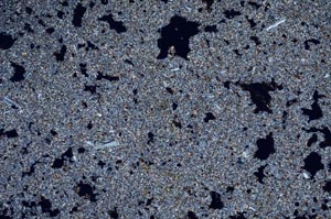 Cross Polarized, S54048