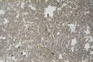 Plane Polarized, S54048