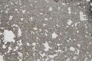 Plane Polarized, S54049