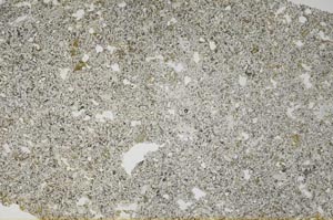 Plane Polarized, S54051