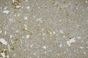 Plane Polarized, S54053