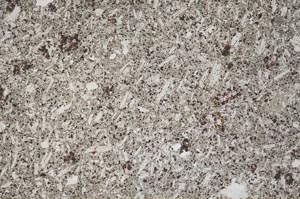 Plane Polarized, S54055