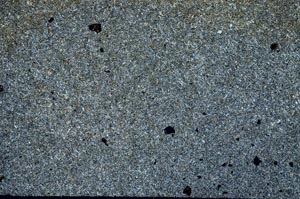 Cross Polarized, S54056