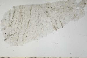 Plane Polarized, S54059