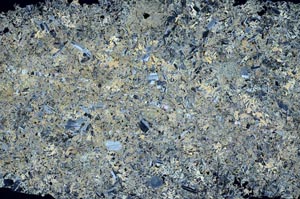 Cross Polarized, S54072