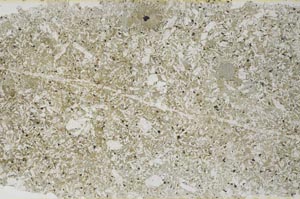 Plane Polarized, S54072