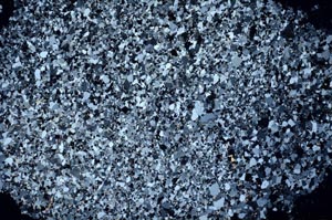 Cross Polarized, S54073