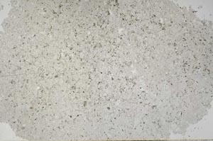 Plane Polarized, S54073