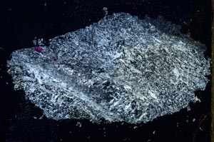 Cross Polarized, S54075