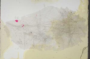 Plane Polarized, S54075