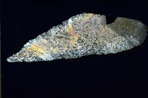 Cross Polarized, S54075/A