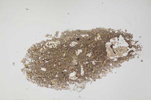 Plane Polarized, S54102