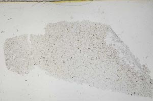 Plane Polarized, S54103