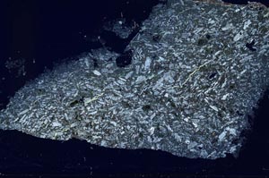 Cross Polarized, S54105