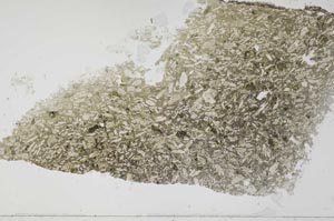 Plane Polarized, S54105