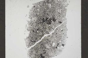 Plane Polarized, S54114