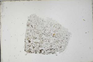 Plane Polarized, S54120