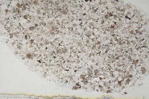 Plane Polarized, S54121