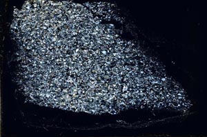 Cross Polarized, S54122