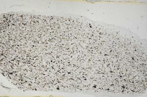 Plane Polarized, S54123