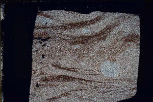 Cross Polarized, S54124