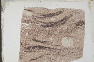 Plane Polarized, S54124