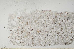 Plane Polarized, S54128