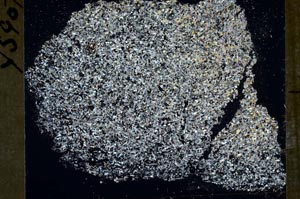 Cross Polarized, S54129