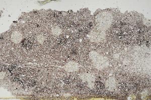 Plane Polarized, S54131