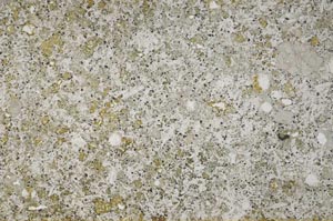 Plane Polarized, S54143