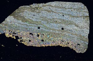 Cross Polarized, S54192