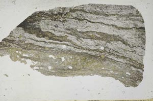 Plane Polarized, S54192
