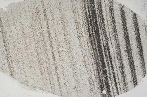 Plane Polarized, S54196