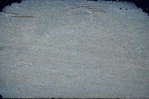 Cross Polarized, S54197