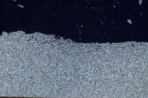 Cross Polarized, S54214