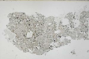 Plane Polarized, S54226