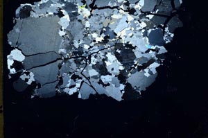 Cross Polarized, S54234