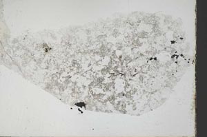 Plane Polarized, S54242