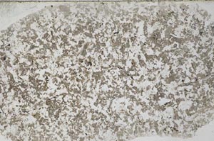 Plane Polarized, S54248