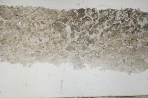 Plane Polarized, S54254