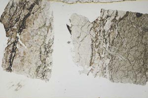 Plane Polarized, S54266