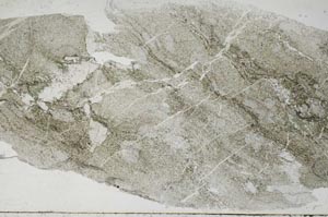 Plane Polarized, S54267/A