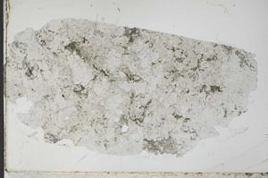 Plane Polarized, S54272/A