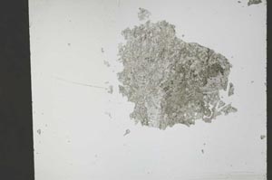 Plane Polarized, S54275