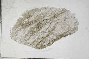 Plane Polarized, S54283