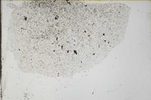 Plane Polarized, S54291