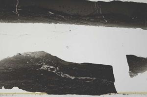 Plane Polarized, S54295