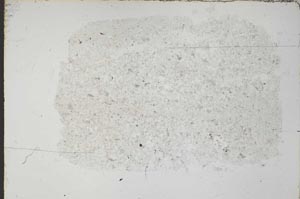 Plane Polarized, S54298