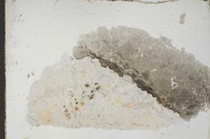 Plane Polarized, S54299
