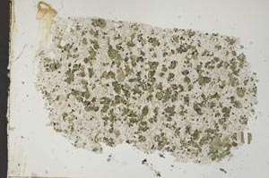 Plane Polarized, S54288